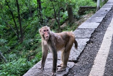 三门齐下高尔夫玩法