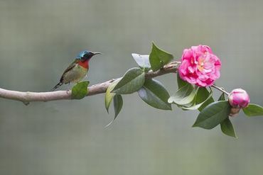 两个孝顺的媳妇完整版如如