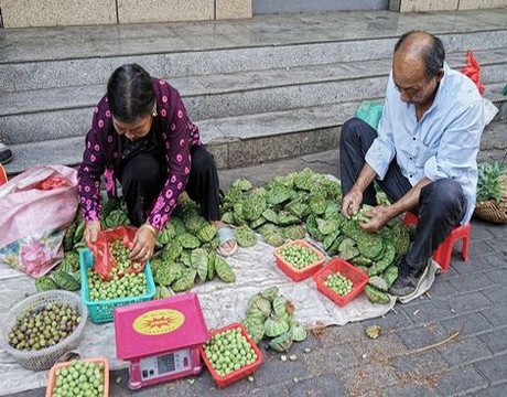 娇妻终成别人的垮下之物