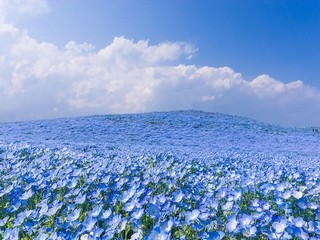 怎么和陌生女孩聊天开头