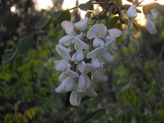 易立竞真实年龄