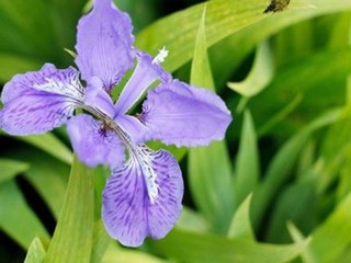 电影最新在线