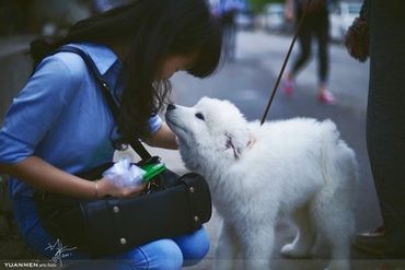 穿旗袍好看的图片