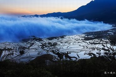 美美哒广场舞视频教学分解