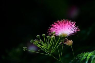 芒果2023永久回家