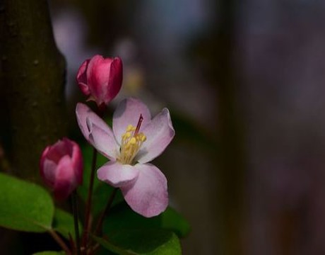 范冰冰扒衣的视频大全集