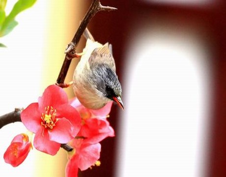 韩漫家免费韩漫